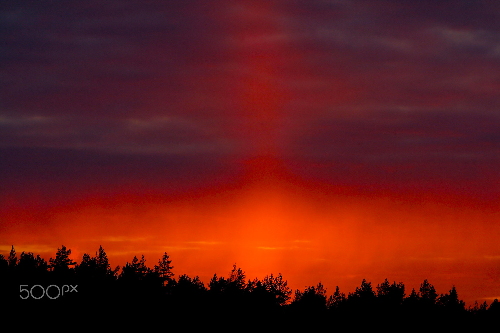 Canon EF 200mm F2.8L II USM sample photo. The last rays of sun photography