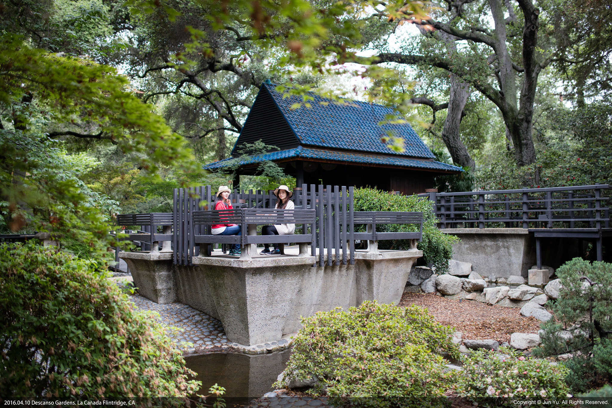 Sigma 35mm F1.4 DG HSM Art sample photo. Descanso gardens photography