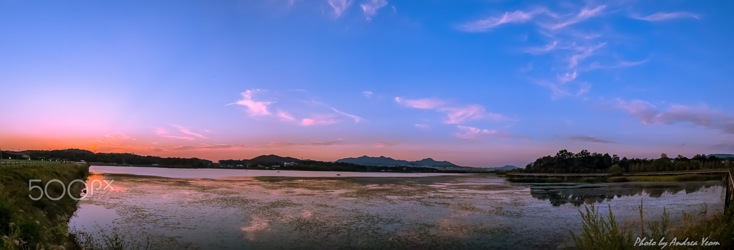 Nikon D5 sample photo. The flames of sunset photography