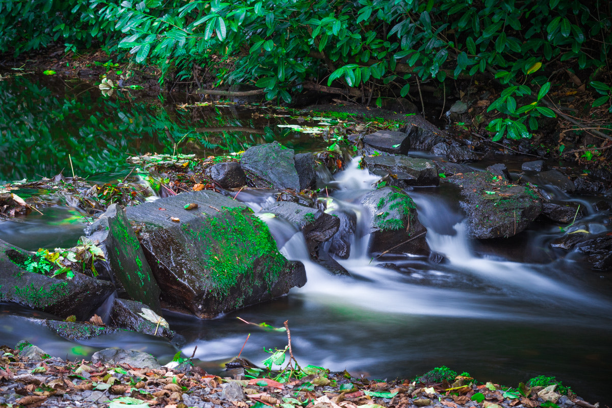 Pentax smc DA 50mm F1.8 sample photo. Ruchey photography