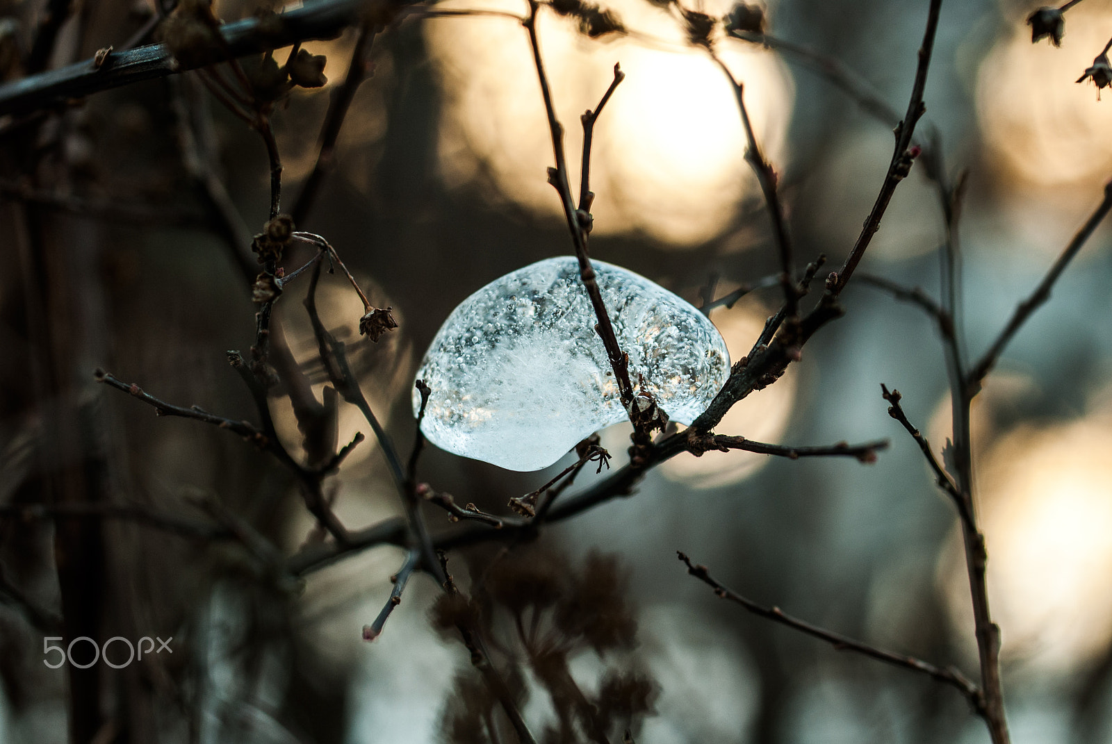 Nikon D3000 + Sigma 50mm F2.8 EX DG Macro sample photo. Crazy ice photography