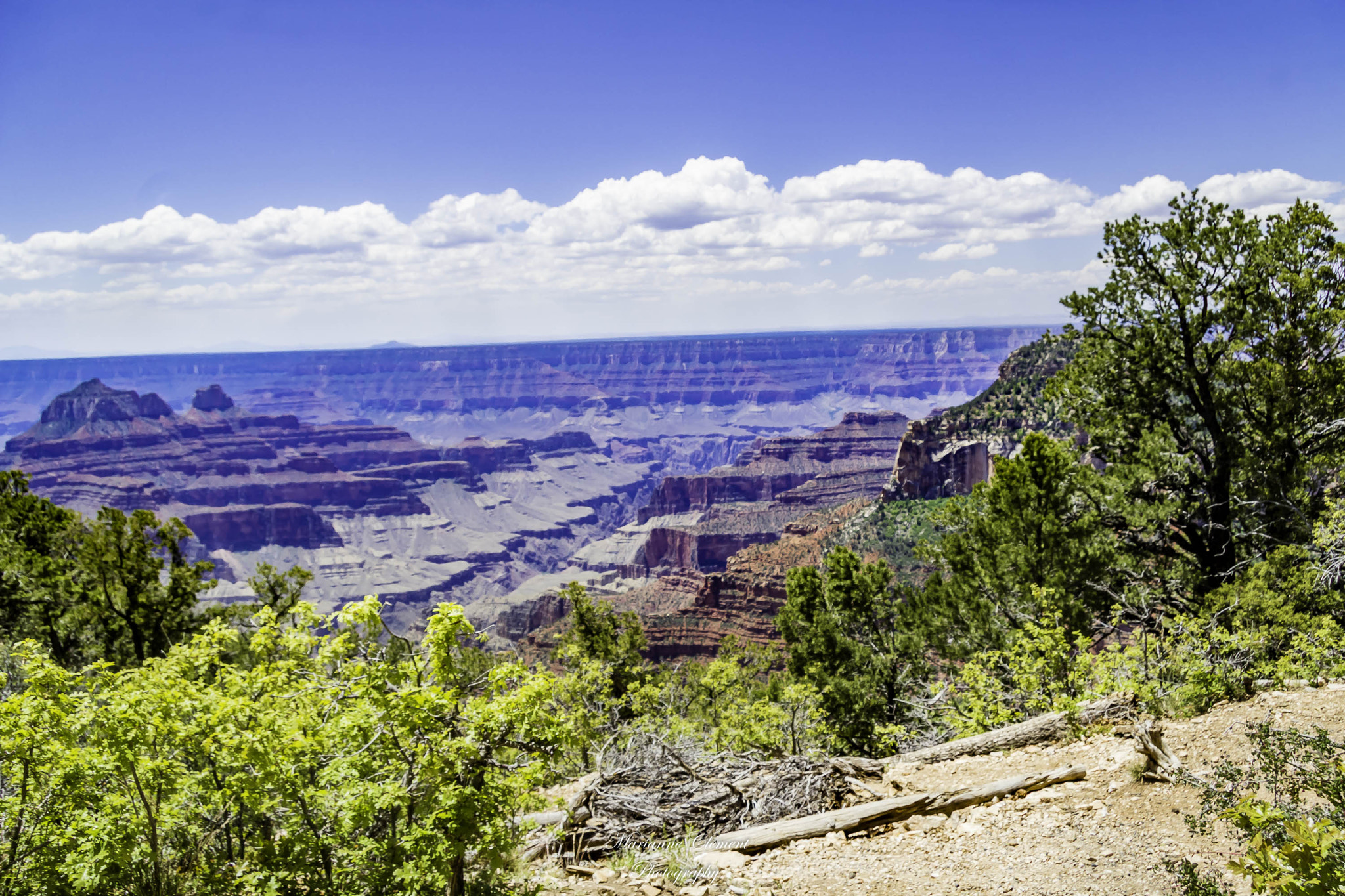 Canon EF-S 17-85mm F4-5.6 IS USM sample photo. North rim at grand canyon lodge photography