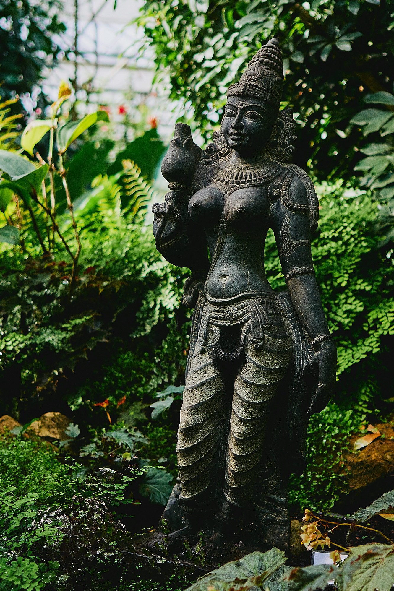 Sony E 35mm F1.8 OSS sample photo. Godess photography