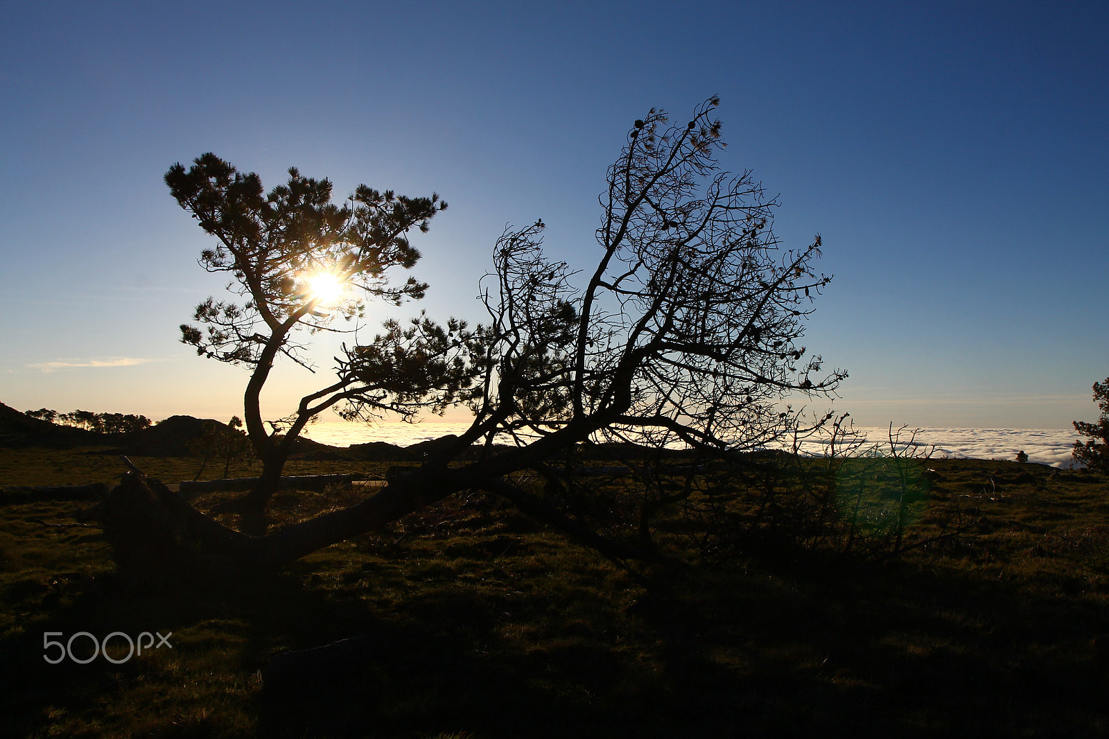 Canon EF-S 17-55mm F2.8 IS USM sample photo. Madeira island photography