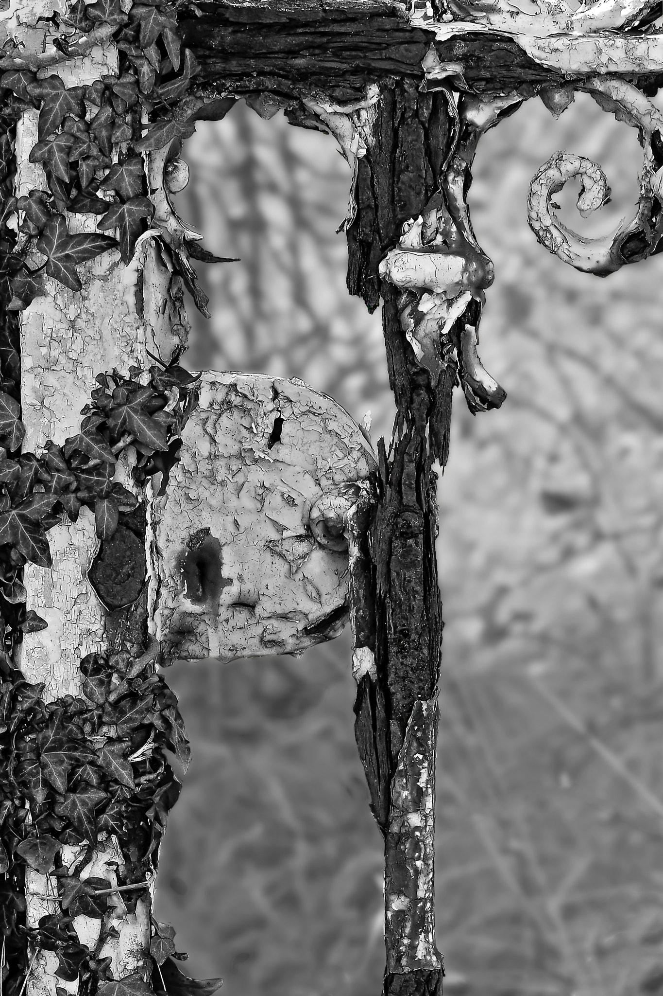 Pentax smc D-FA 100mm F2.8 macro sample photo. Forgotten gate photography