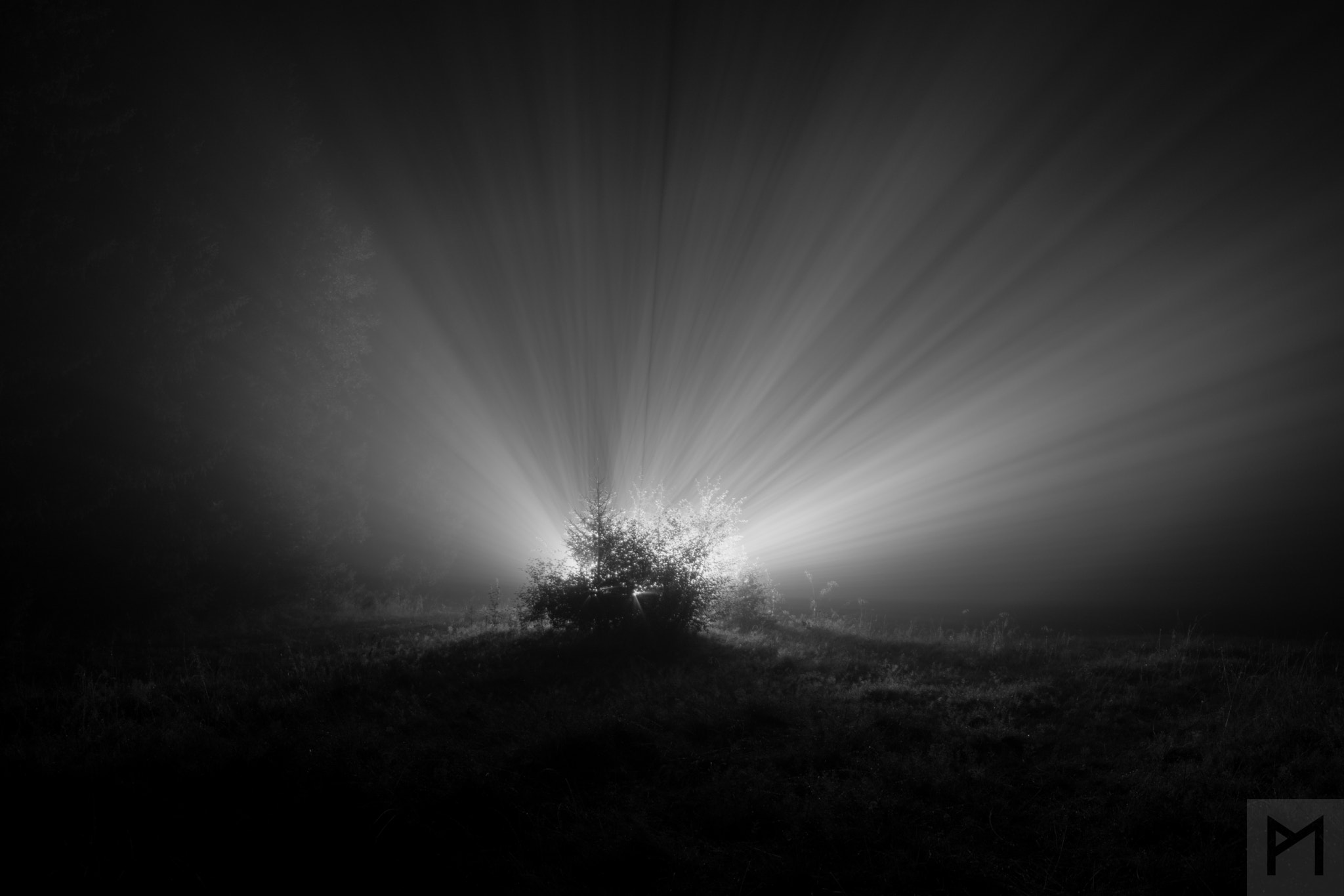 Samyang 14mm F2.8 ED AS IF UMC sample photo. Playing with fog photography
