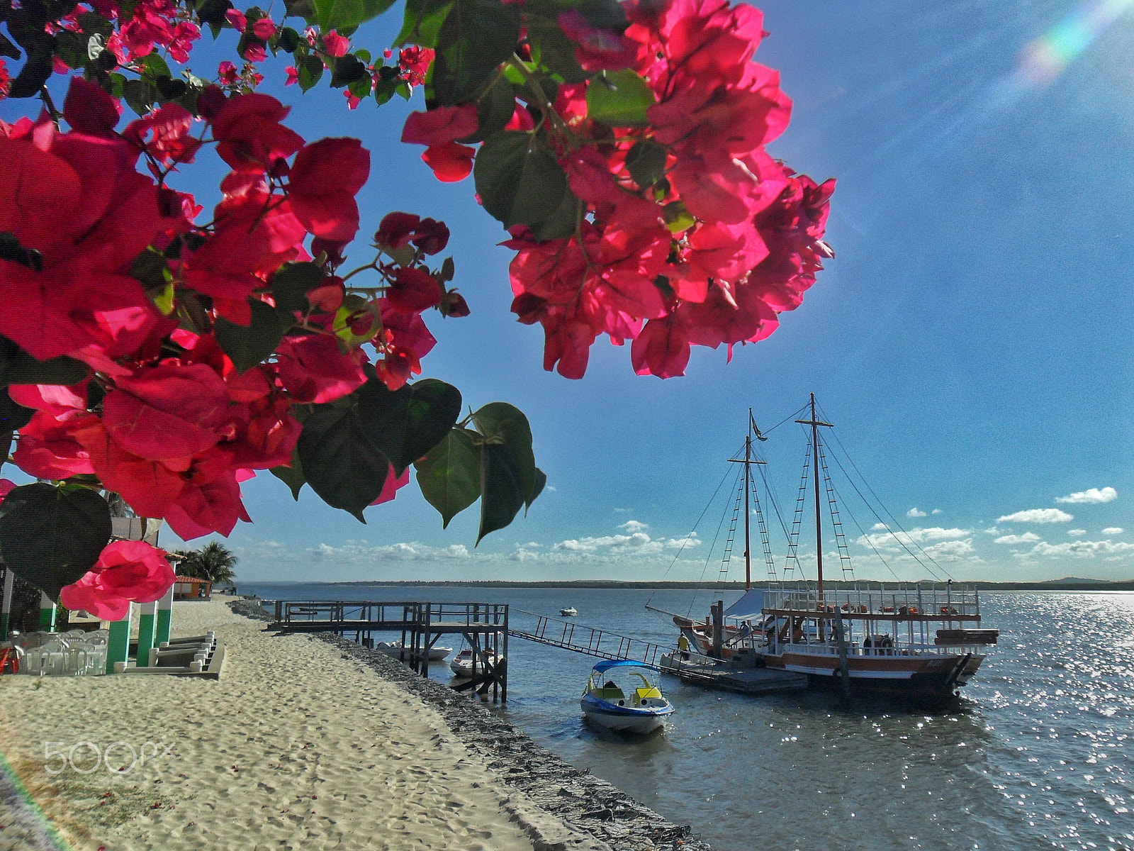 Samsung ES70, ES71 / VLUU ES70, ES71 /  SL600 sample photo. Flowers and boats photography