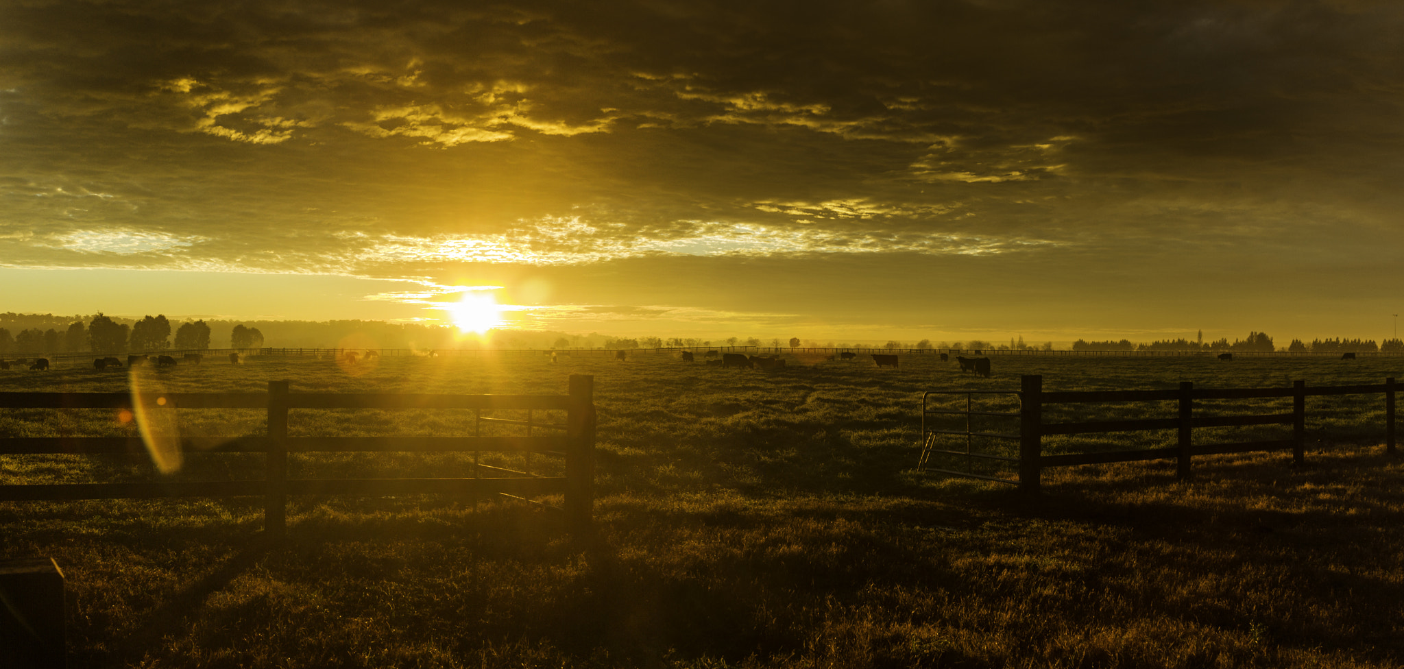 Canon EF 24-85mm F3.5-4.5 USM sample photo. Rural light photography