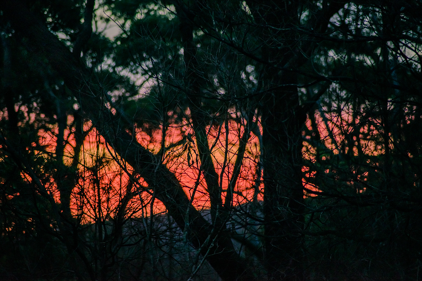 Sony a7 sample photo. Sunset clouds photography