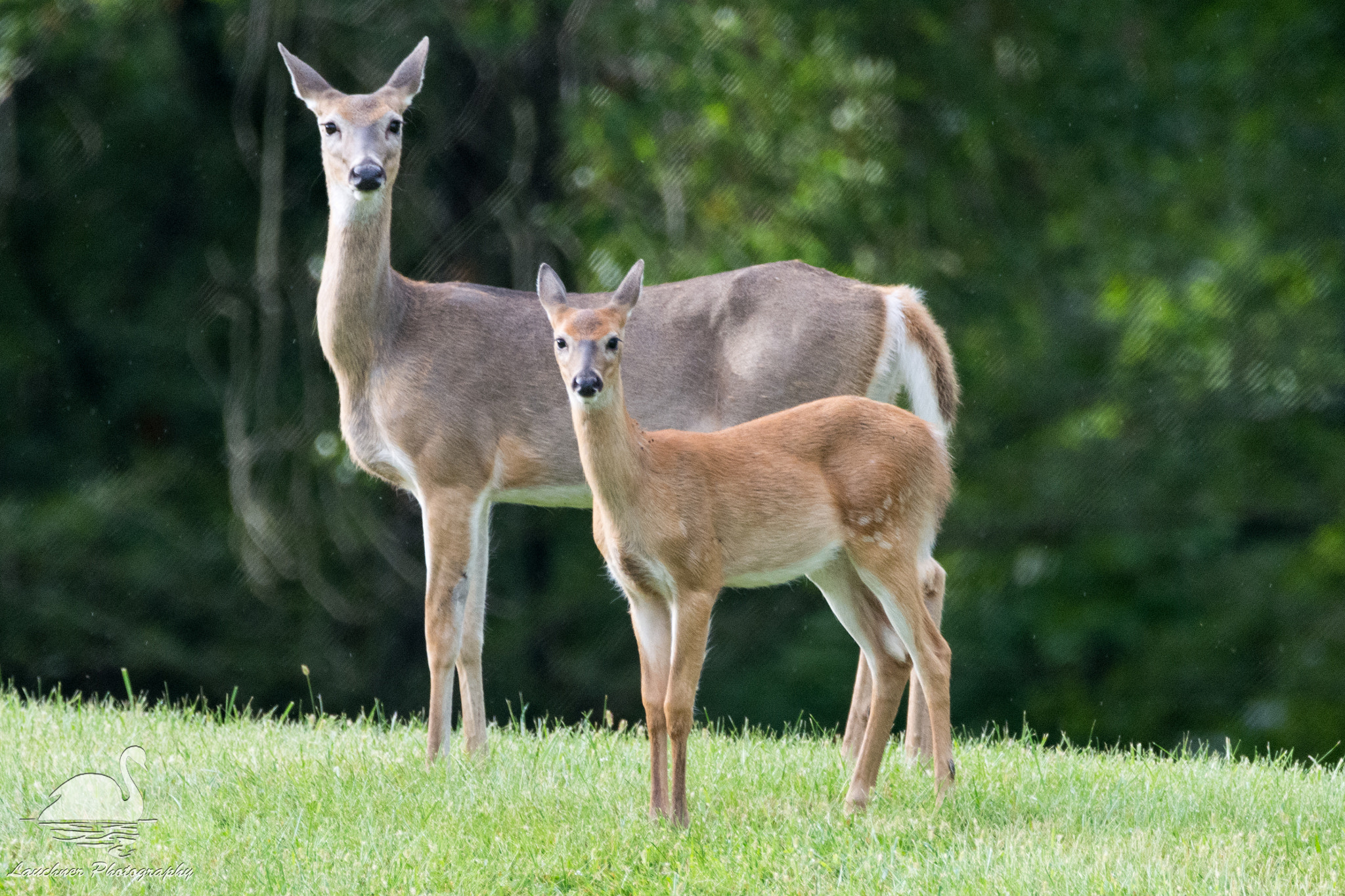 Sigma 150-600mm F5-6.3 DG OS HSM | C sample photo. Mother & child photography