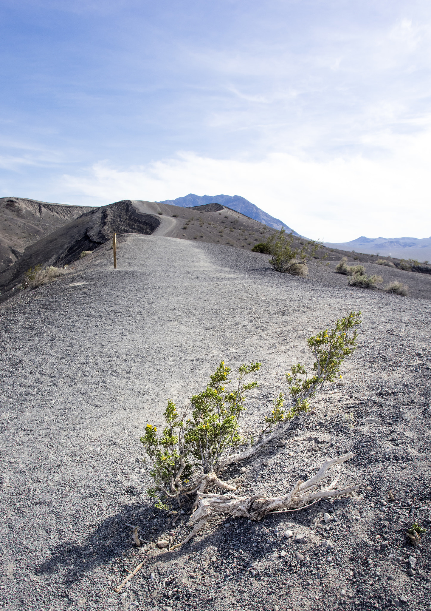 Pentax K-3 sample photo. Against some odds - death valley photography