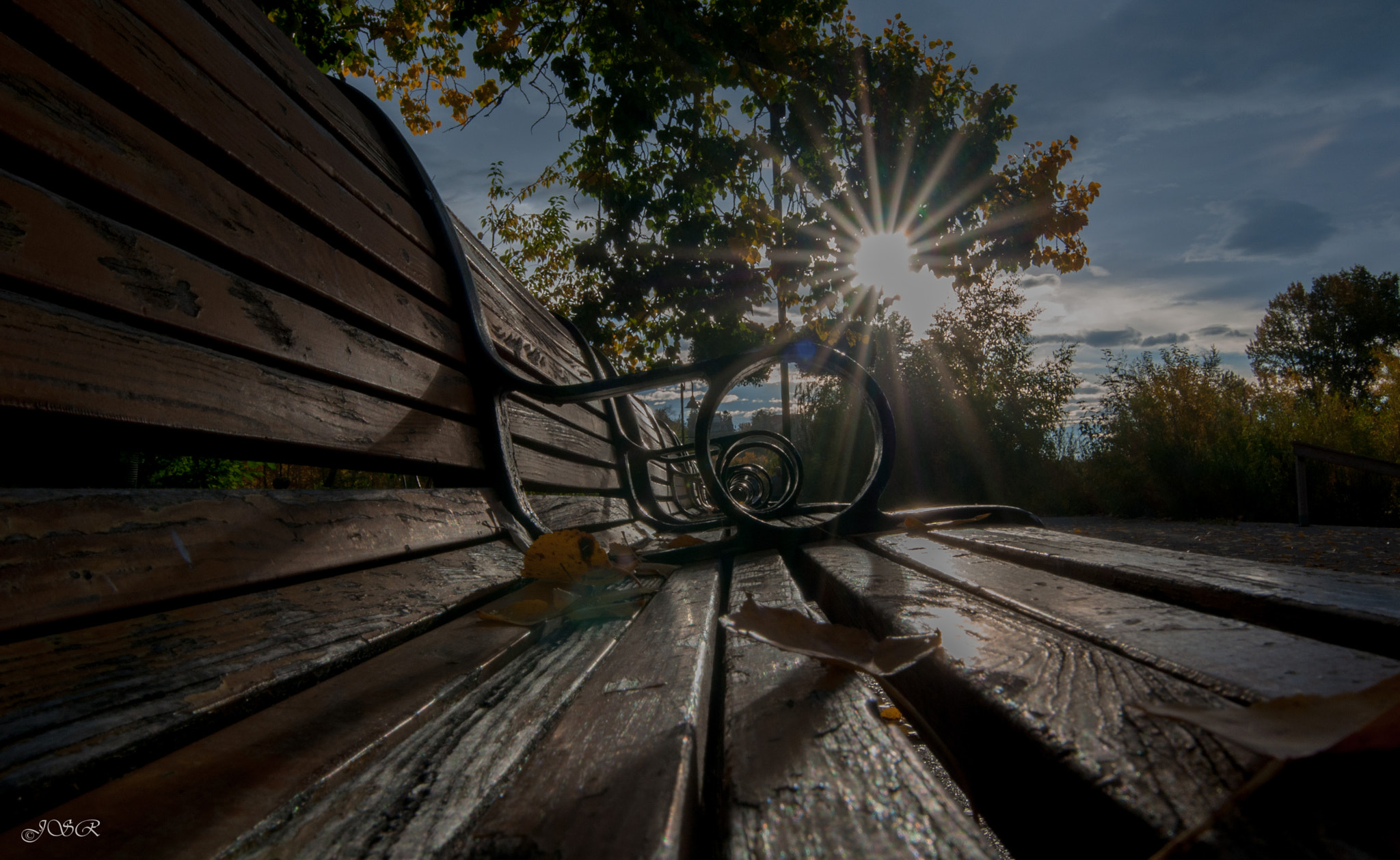 Nikon D5000 sample photo. Jsr photography