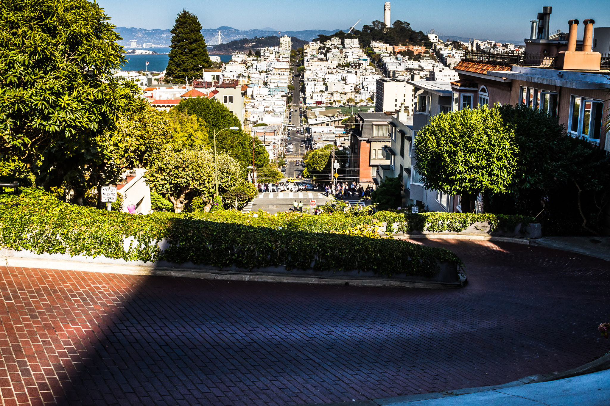 Canon EOS 7D + Tamron AF 18-270mm F3.5-6.3 Di II VC LD Aspherical (IF) MACRO sample photo. Lombard street (san francisco, ca) photography