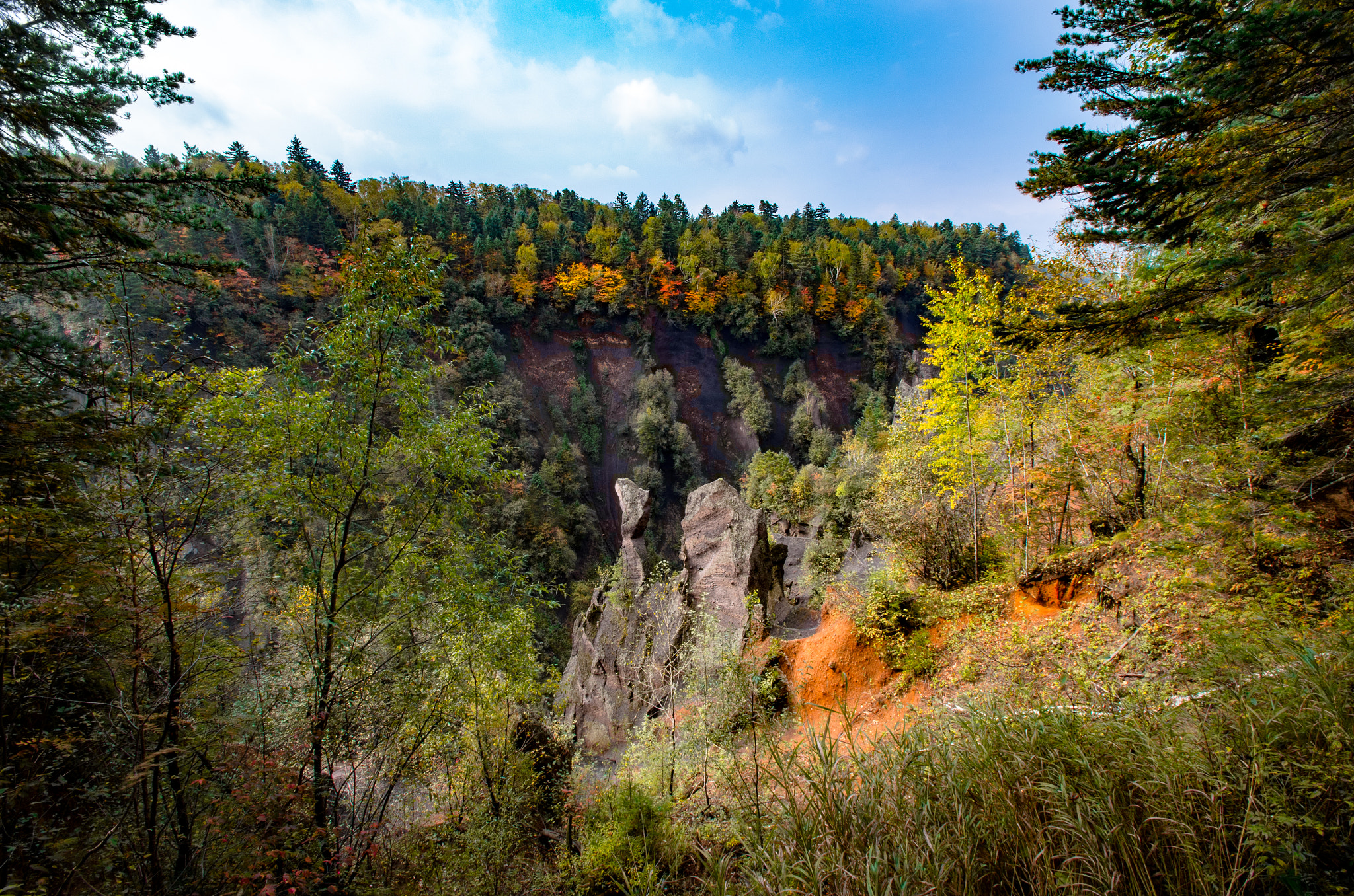 Pentax K-50 sample photo. Camel stone photography
