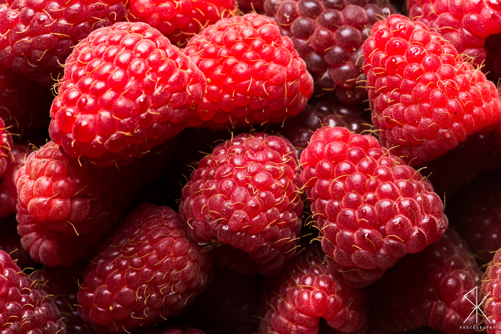 Sigma 150mm F2.8 EX DG Macro HSM sample photo. Yummy! photography