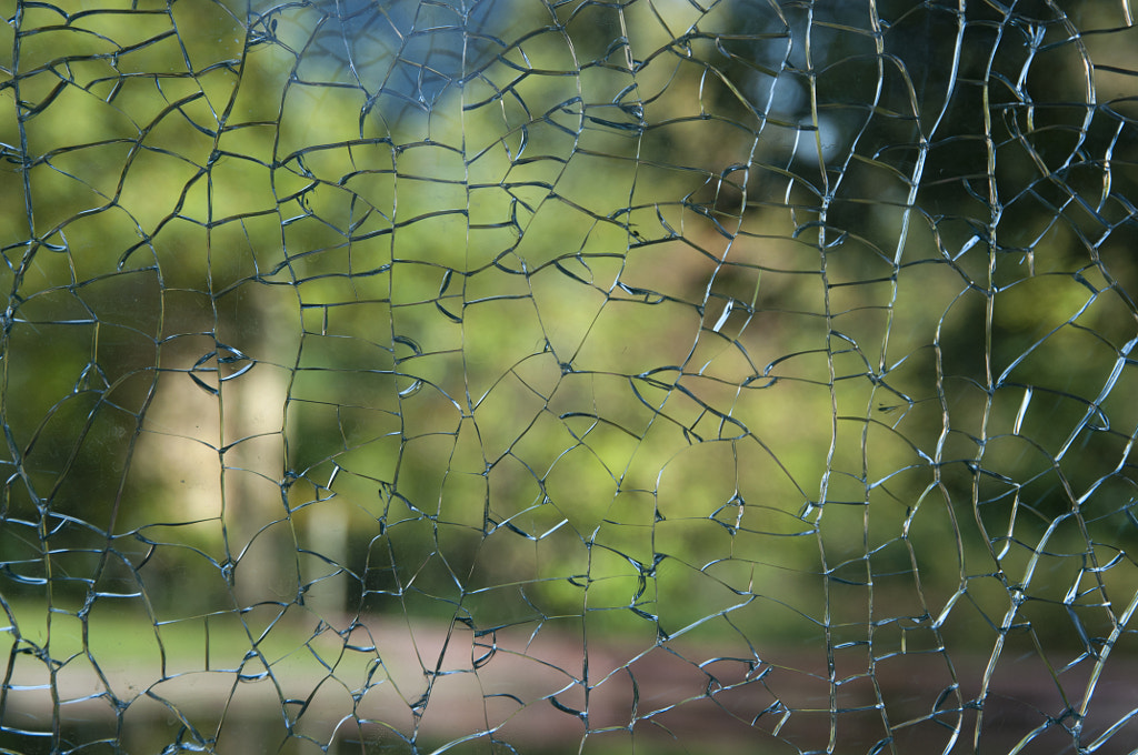 City Greens by renske mignon on 500px.com