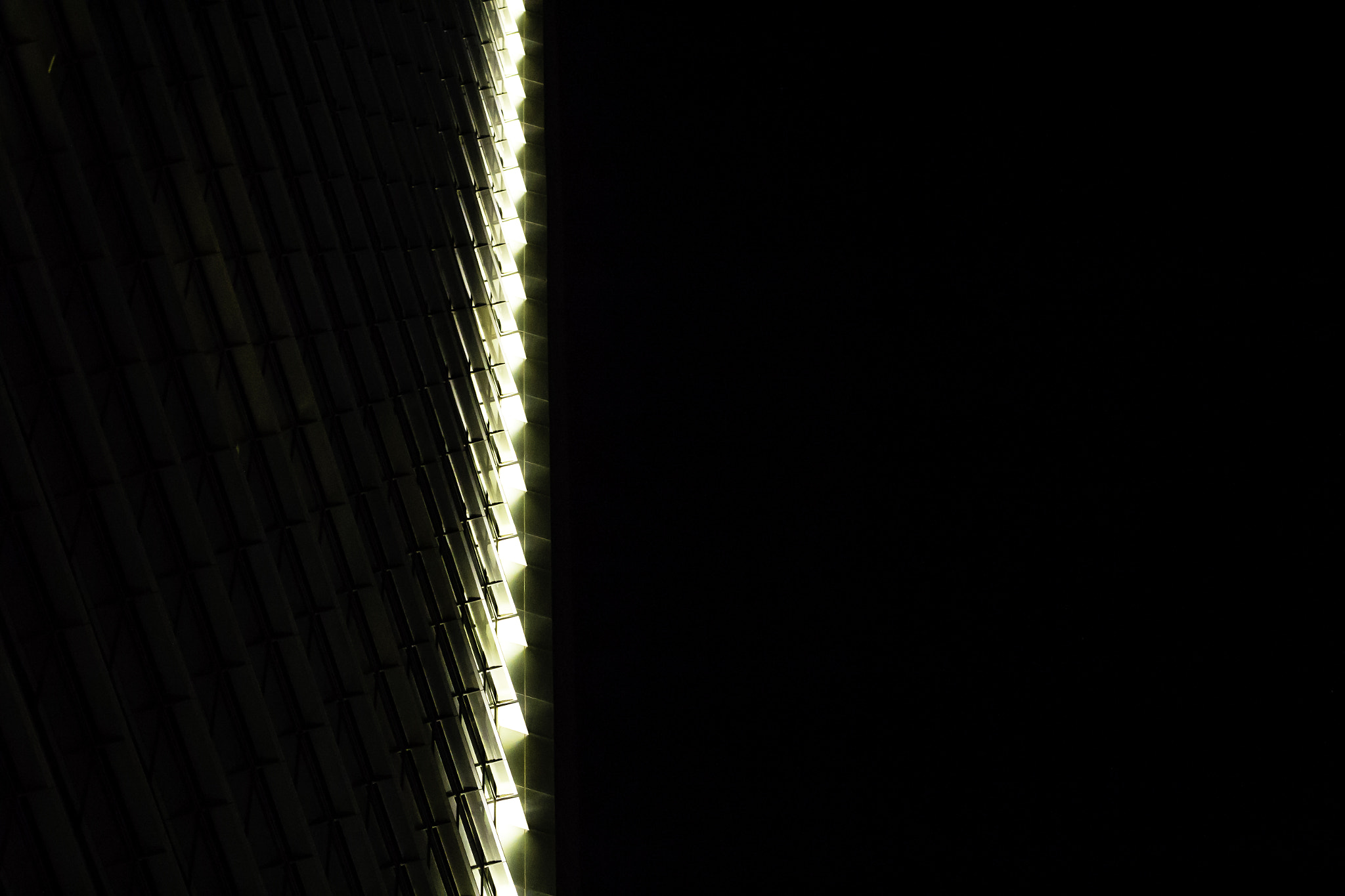 Canon EF 70-300mm F4-5.6L IS USM sample photo. Untitled photography