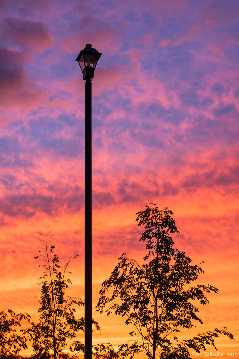 Canon EF 40mm F2.8 STM sample photo. Sunset silhouette #1 photography