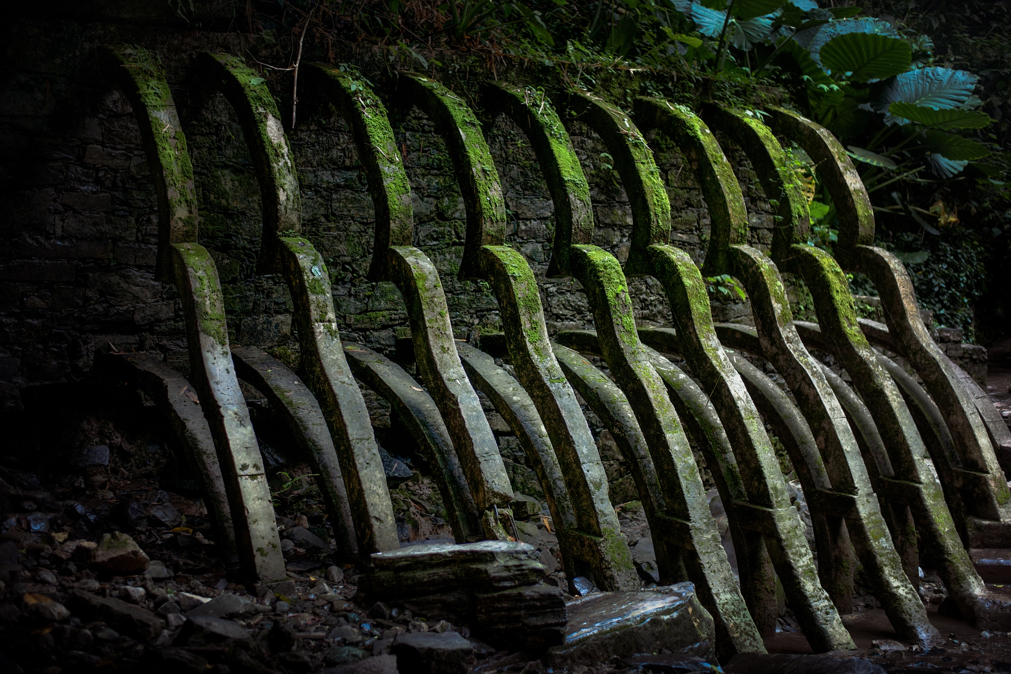 Nikon D3X sample photo. Place xilitla 4 photography