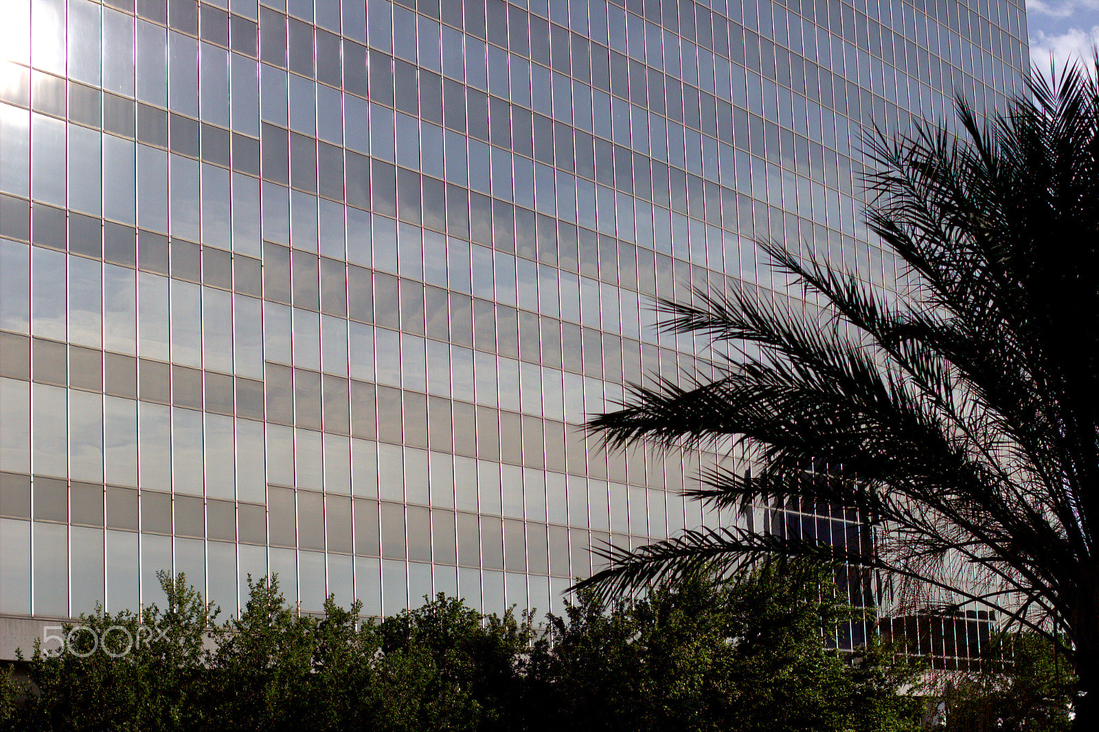 Canon EF 50mm F1.4 USM sample photo. Building windows photography