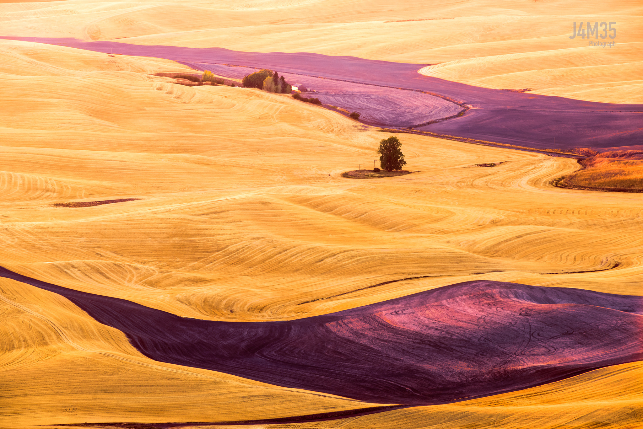 Nikon D810A + Nikon AF-S Nikkor 70-200mm F2.8G ED VR II sample photo. The palouse wheat field photography