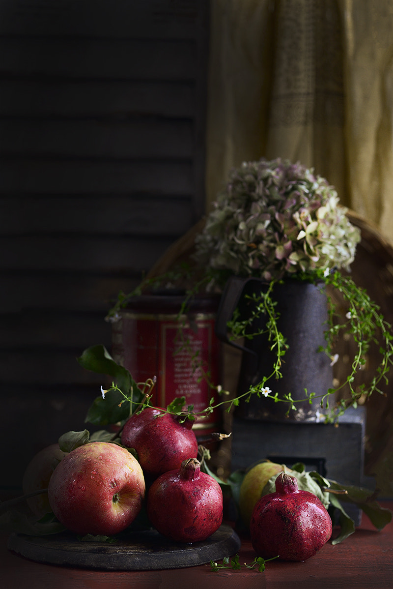 Sigma 105mm F2.8 EX DG Macro sample photo. Still life photography