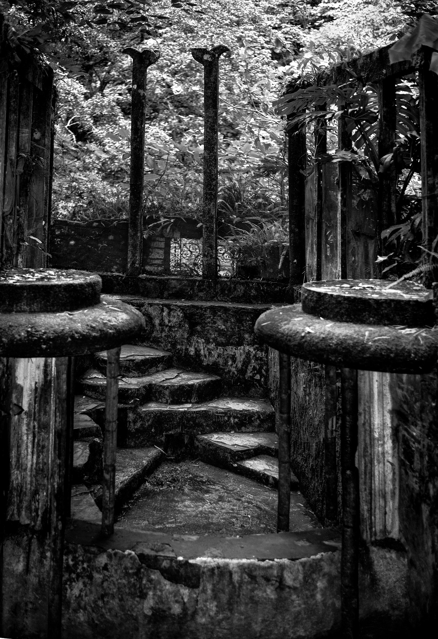 Nikon D3X + Nikon AF-S Nikkor 50mm F1.8G sample photo. F place xilitla photography