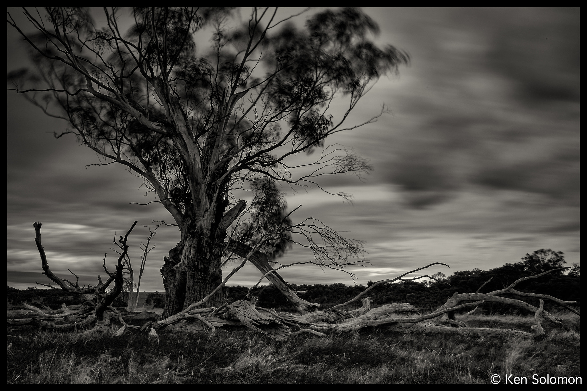 Fujifilm X-E2 + Fujifilm XF 14mm F2.8 R sample photo. Swaying in the wind photography