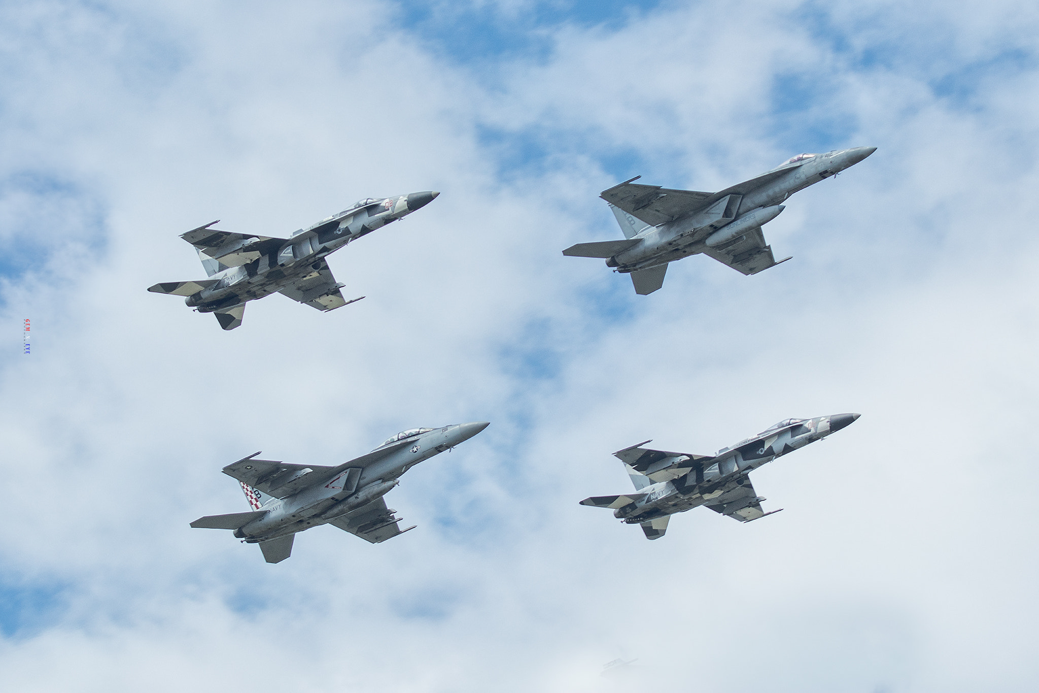 Canon EF 70-200mm F2.8L USM sample photo. Hornet diamond va photography
