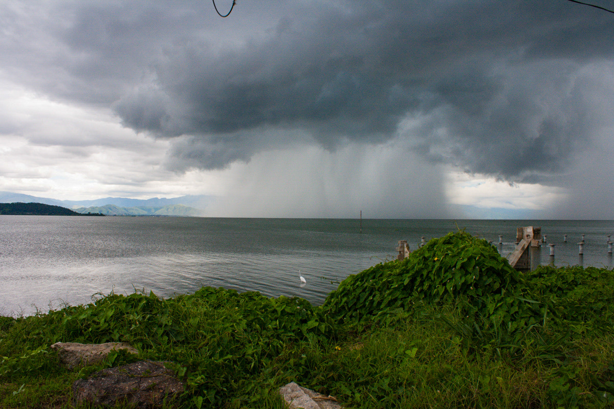 Canon EOS 1000D (EOS Digital Rebel XS / EOS Kiss F) sample photo. Lluvia (lago de valencia) photography