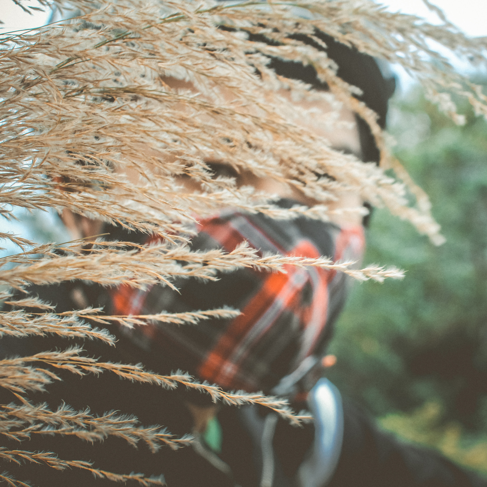 Canon EOS 60D + Canon EF 28mm F1.8 USM sample photo. Afacaa o photography