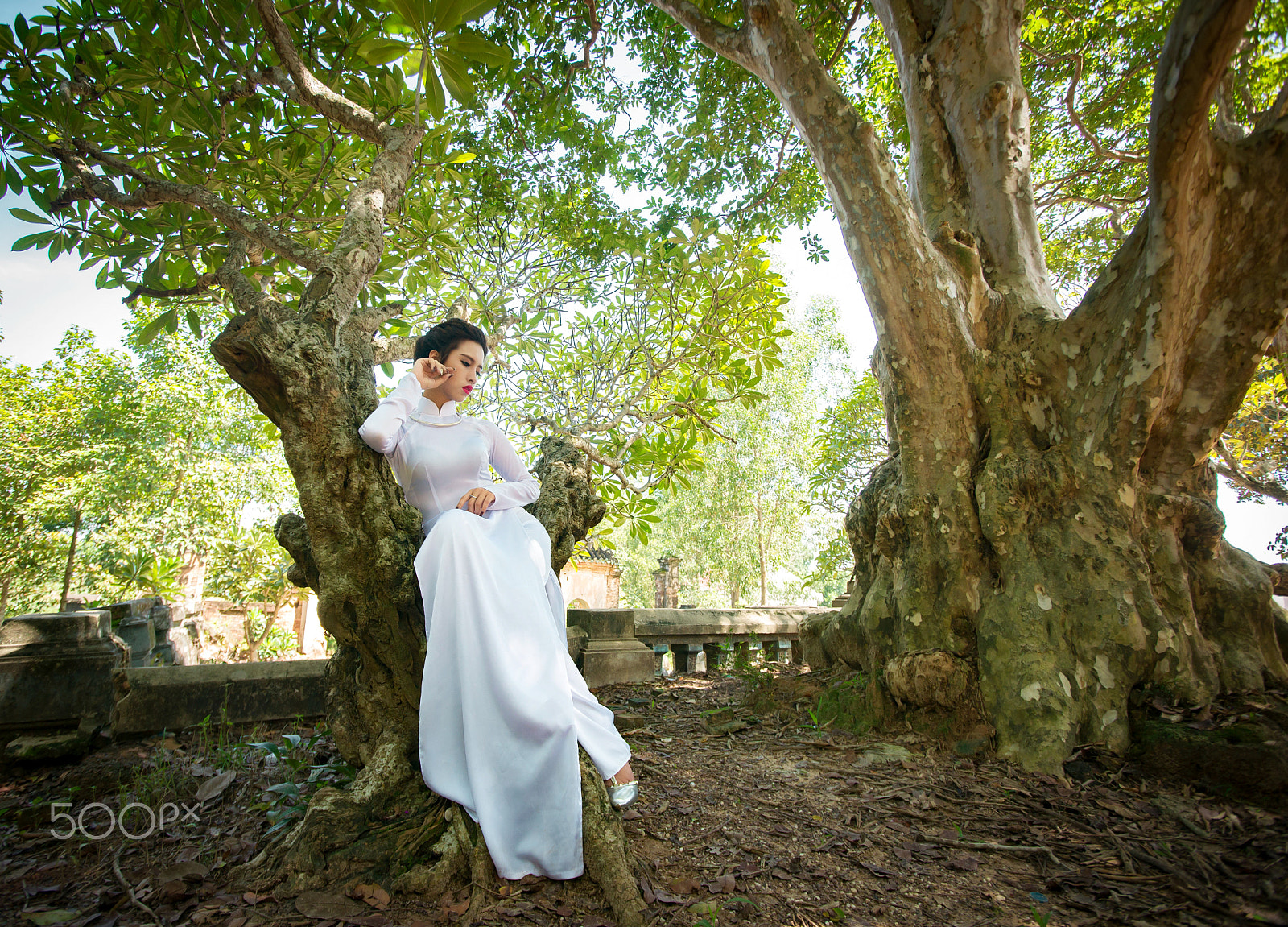 Sony Alpha DSLR-A850 sample photo. 6 ao dai viet nam photography