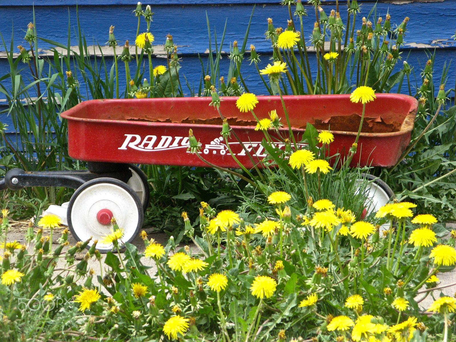 Canon POWERSHOT A710 IS sample photo. Radio flyer photography