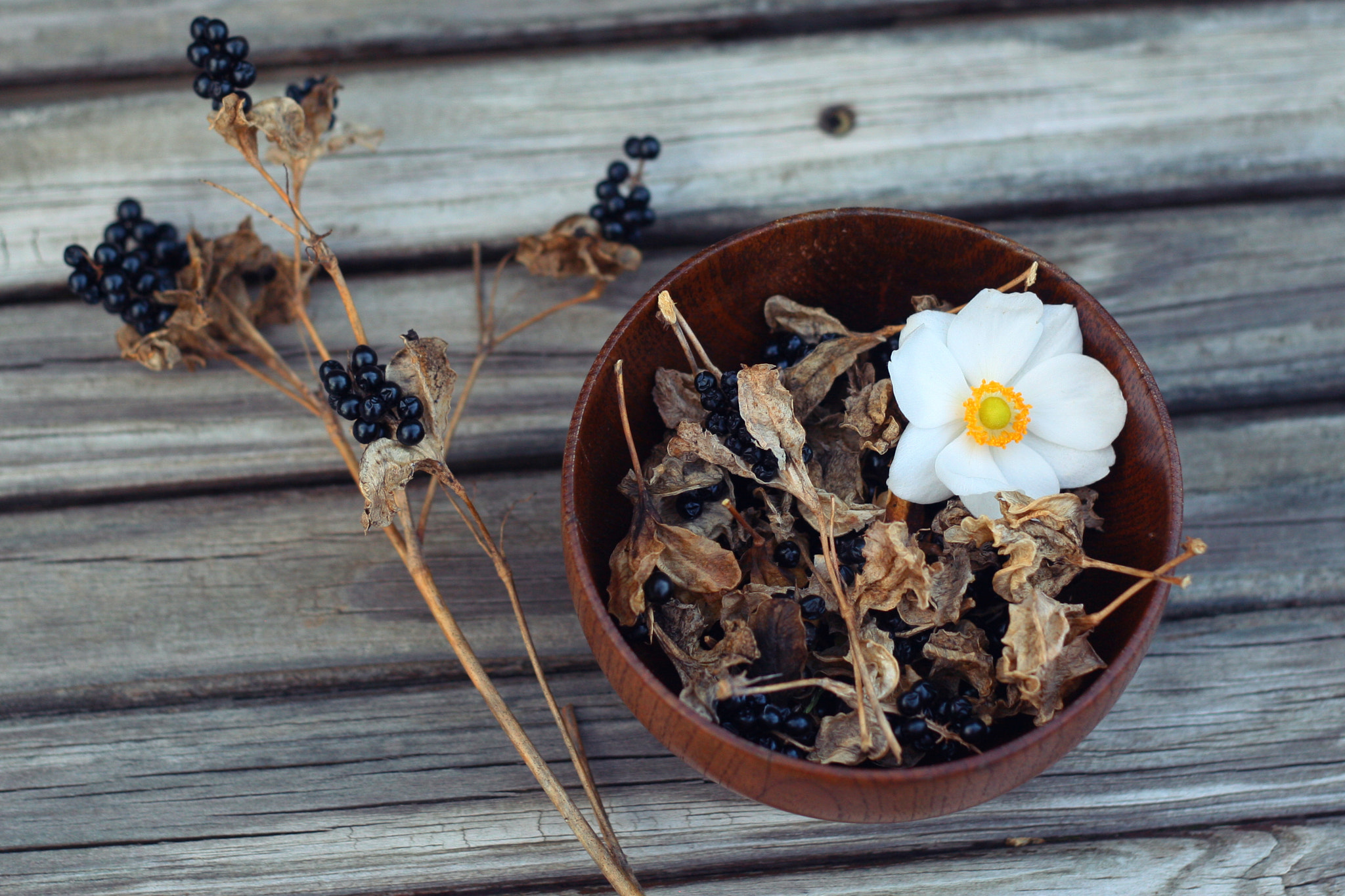 Canon EOS 30D + Canon EF 50mm F1.8 II sample photo. Harvest photography