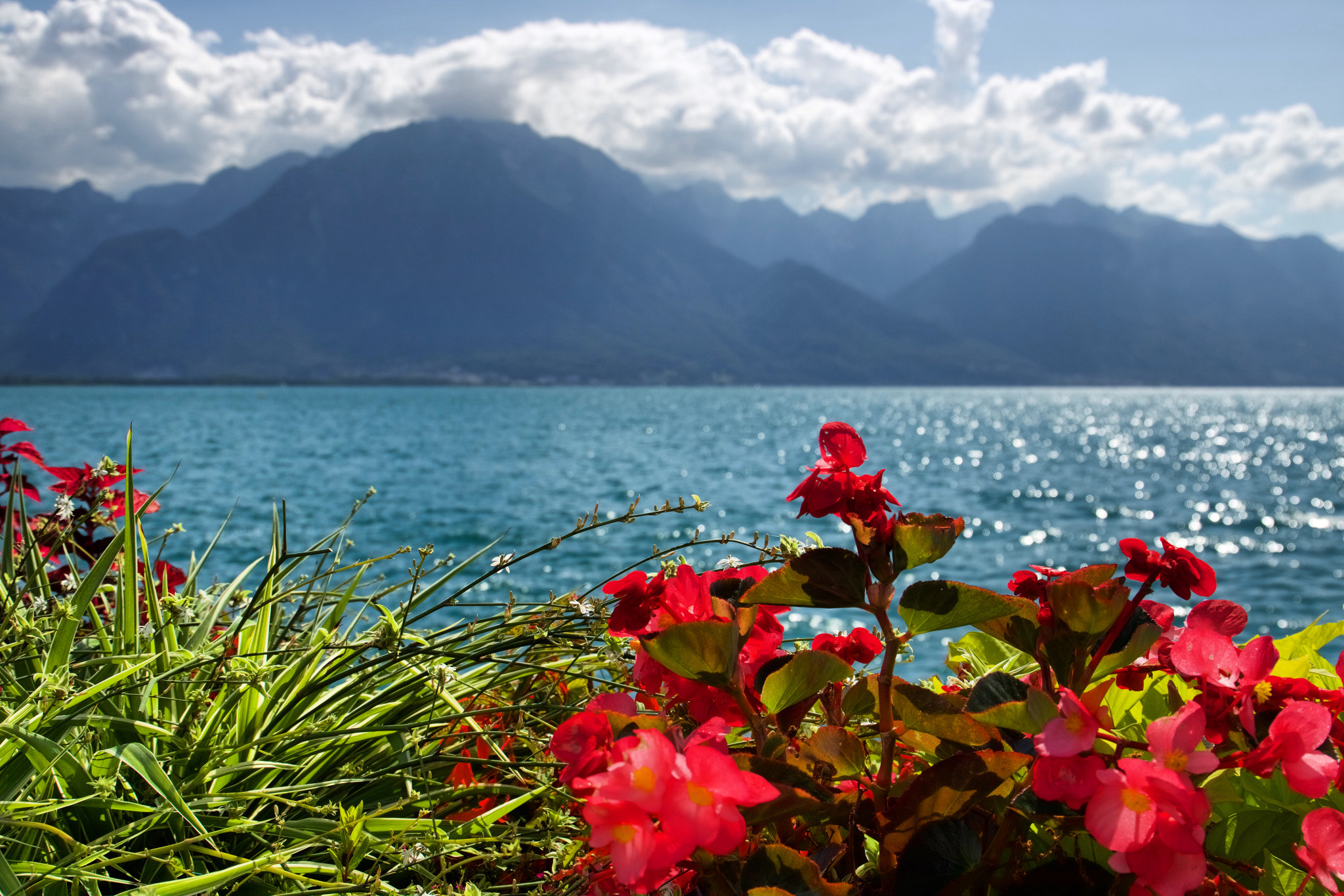 Canon EF 24-105mm F3.5-5.6 IS STM sample photo. Montreaux photography