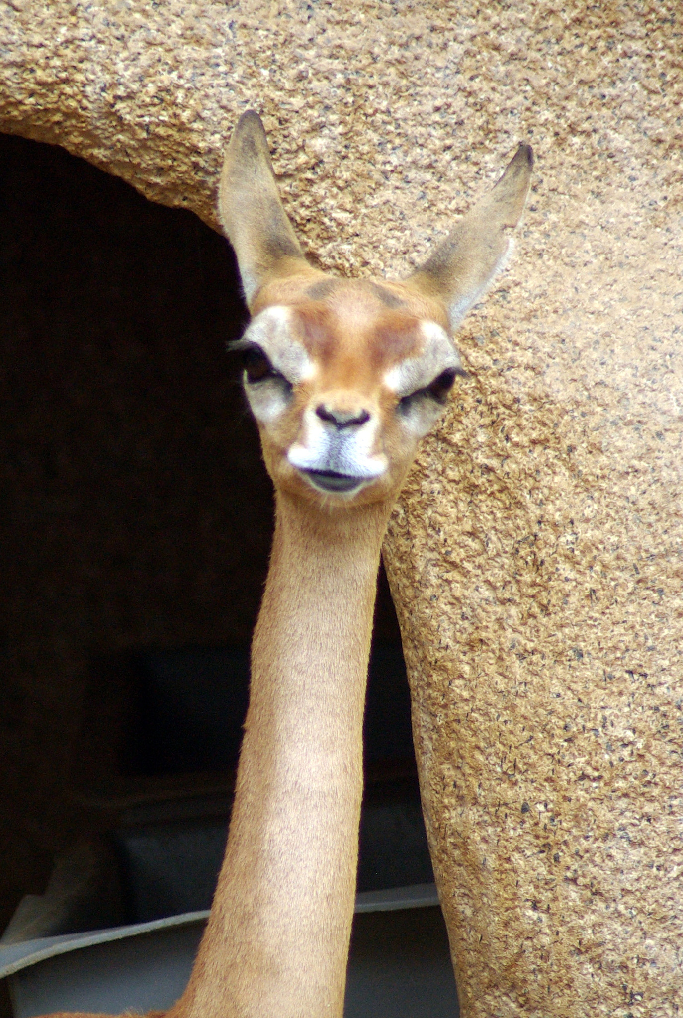 Tamron AF 70-300mm F4-5.6 Di LD Macro sample photo. Yo wassup! photography