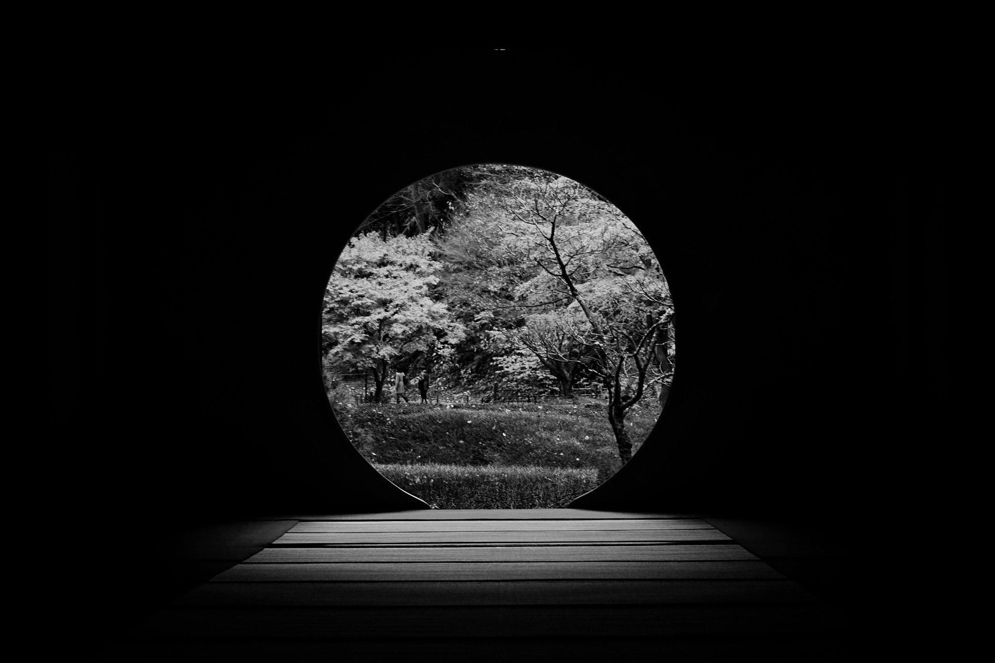Sony a7R + Sony Sonnar T* FE 55mm F1.8 ZA sample photo. Another universe photography