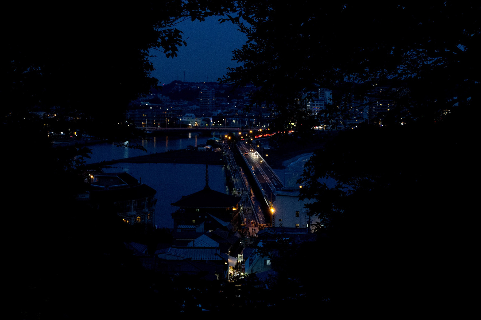 Canon EOS 600D (Rebel EOS T3i / EOS Kiss X5) sample photo. Kamakura night view from enoshima land photography