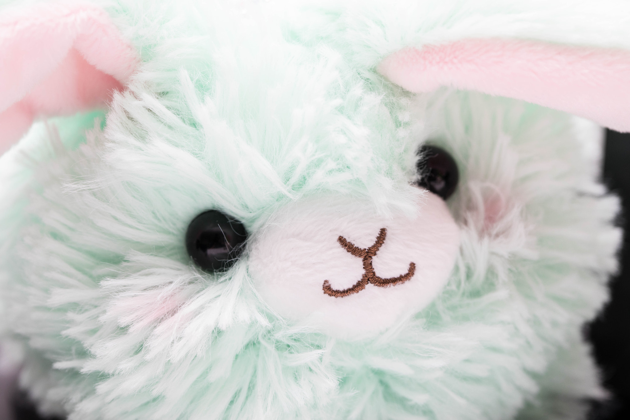 Canon EF 100mm F2.8L Macro IS USM sample photo. Ba photography