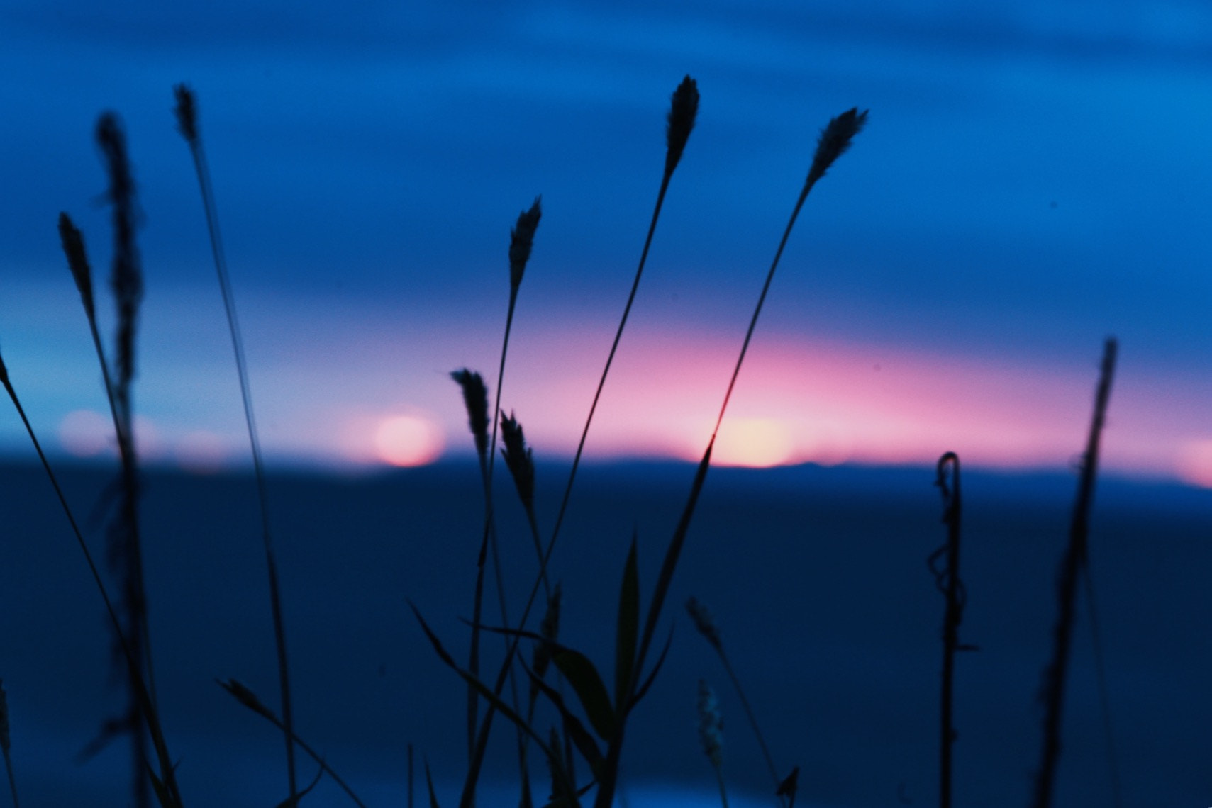 Canon EF 70-200mm F4L IS USM sample photo. Sunset photography
