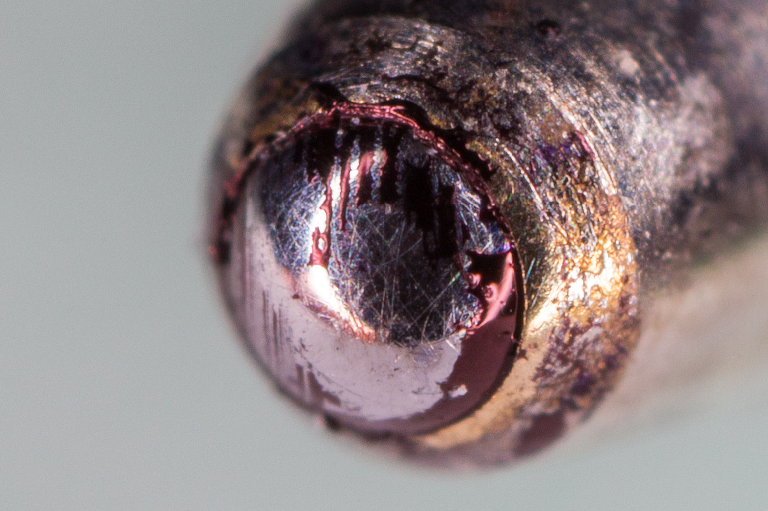 Canon MP-E 65mm F2.5 1-5x Macro Photo sample photo. Mightier than the sword photography