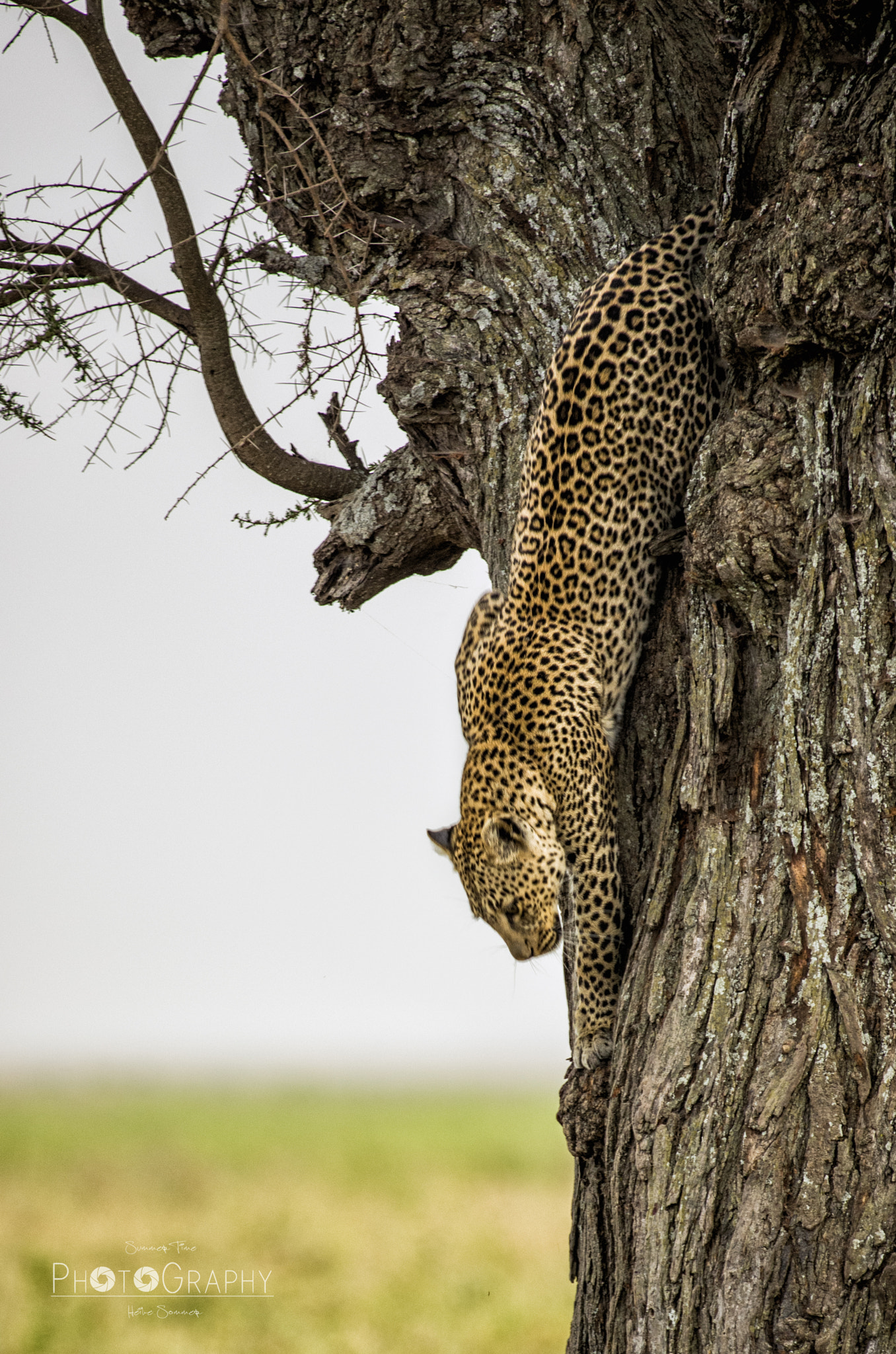 Pentax K-5 sample photo. Climbing down. the mother photography