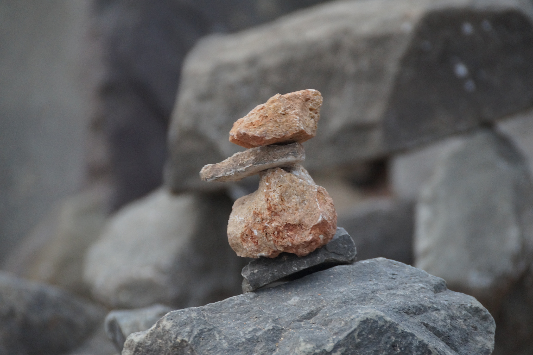 Sony DT 18-250mm F3.5-6.3 sample photo
