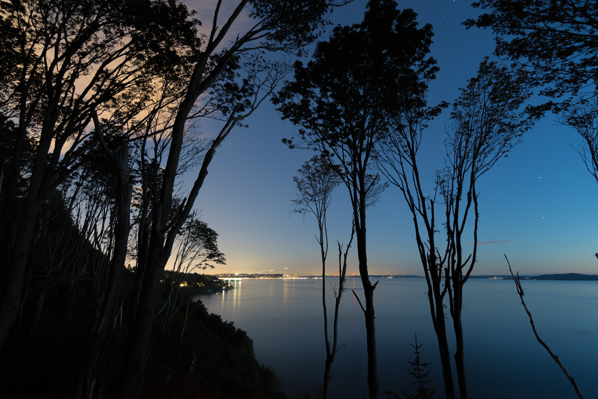 Nikon D500 sample photo. Sunset at the park photography