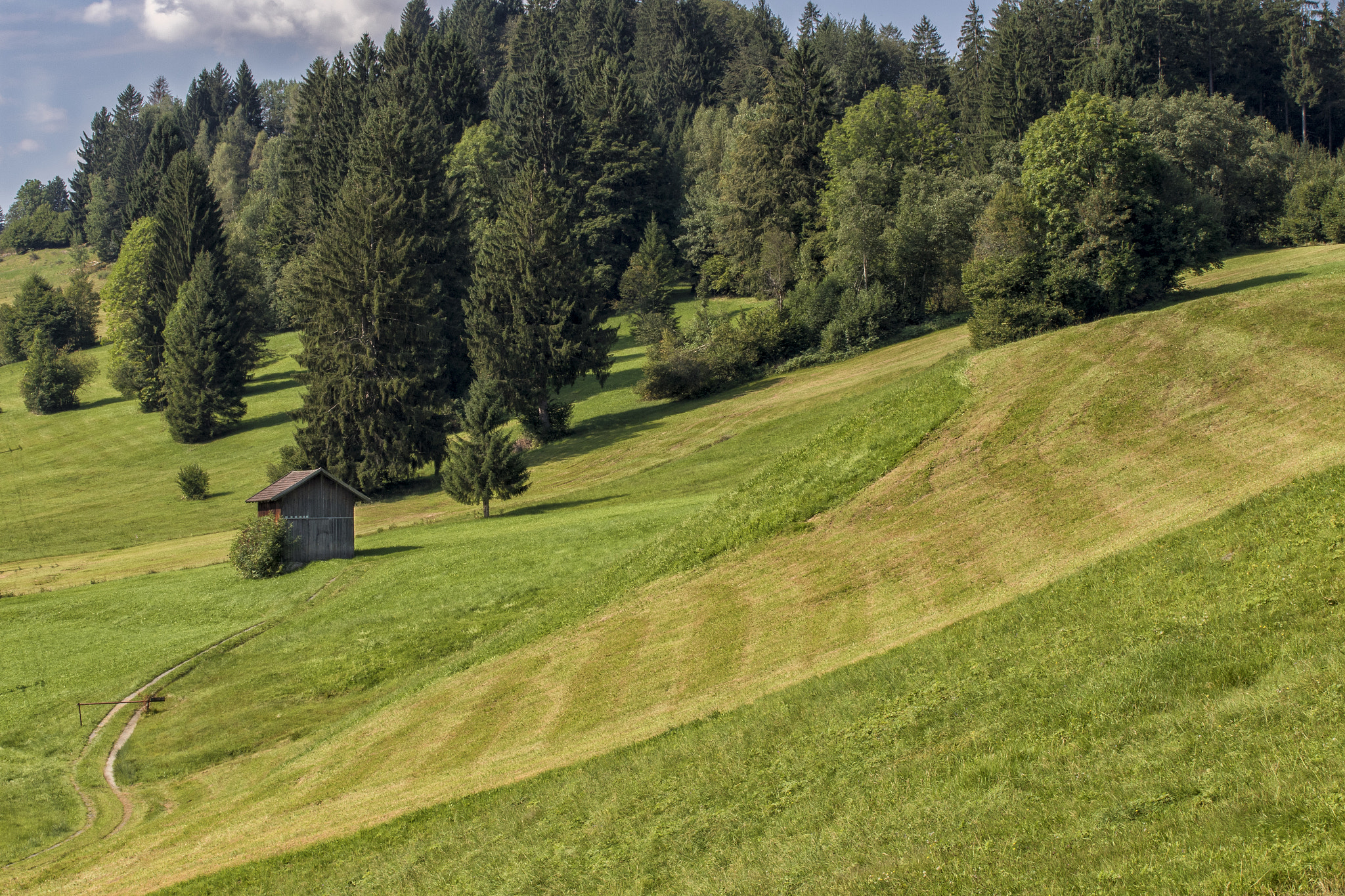 Canon EF 75-300mm F4.0-5.6 IS USM sample photo. Wiesen im spätsommer photography