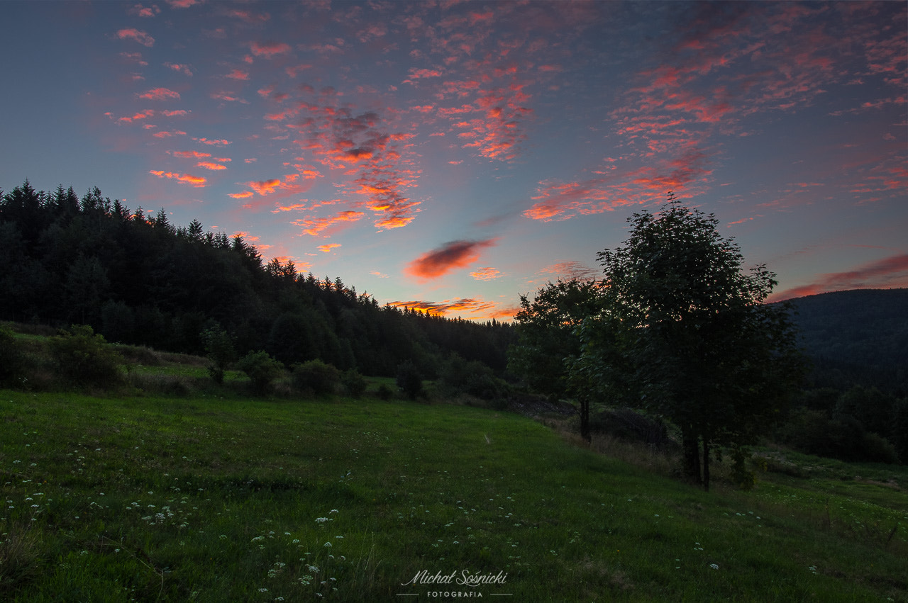 Pentax K-3 + Sigma 18-35mm F1.8 DC HSM Art sample photo. Kudlacze... photography