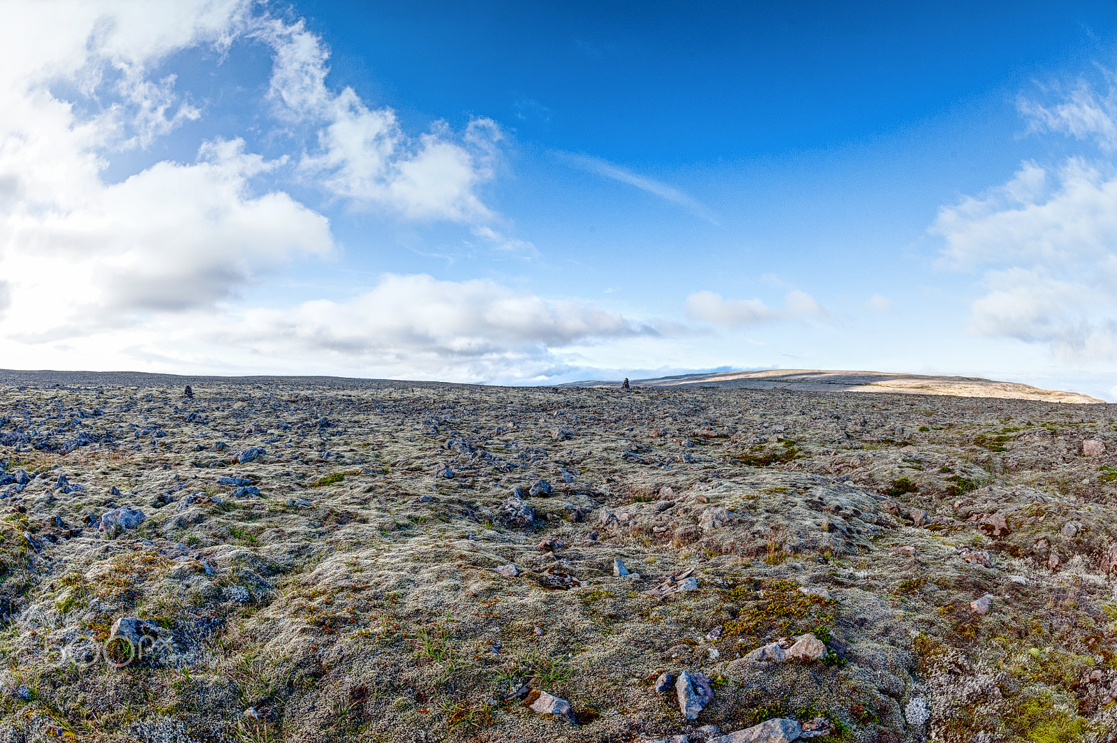 Nikon D700 + Nikon AF Fisheye-Nikkor 16mm F2.8D sample photo