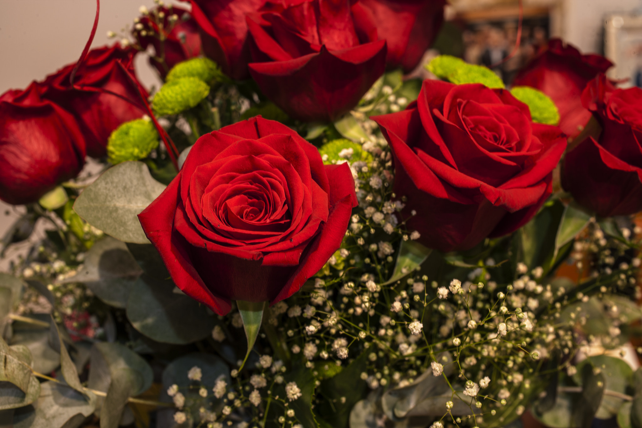 Canon EF 50mm F2.5 Macro sample photo. Y van 30 gracias photography