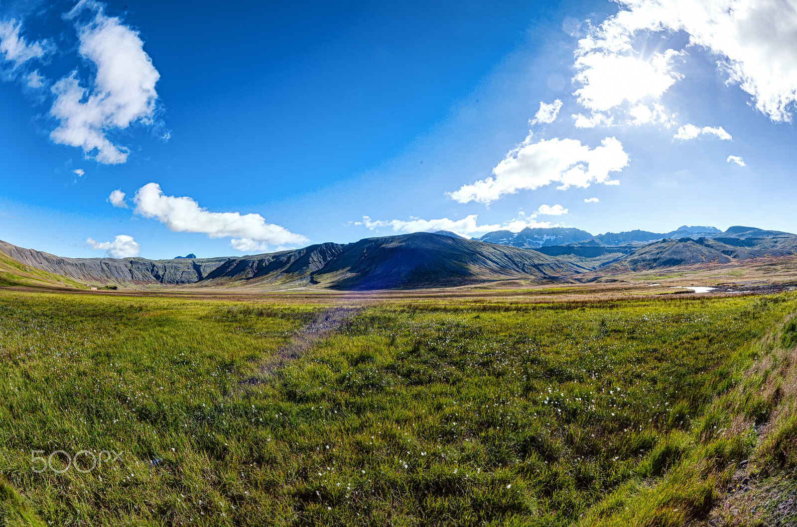 Nikon D700 + Nikon AF Fisheye-Nikkor 16mm F2.8D sample photo