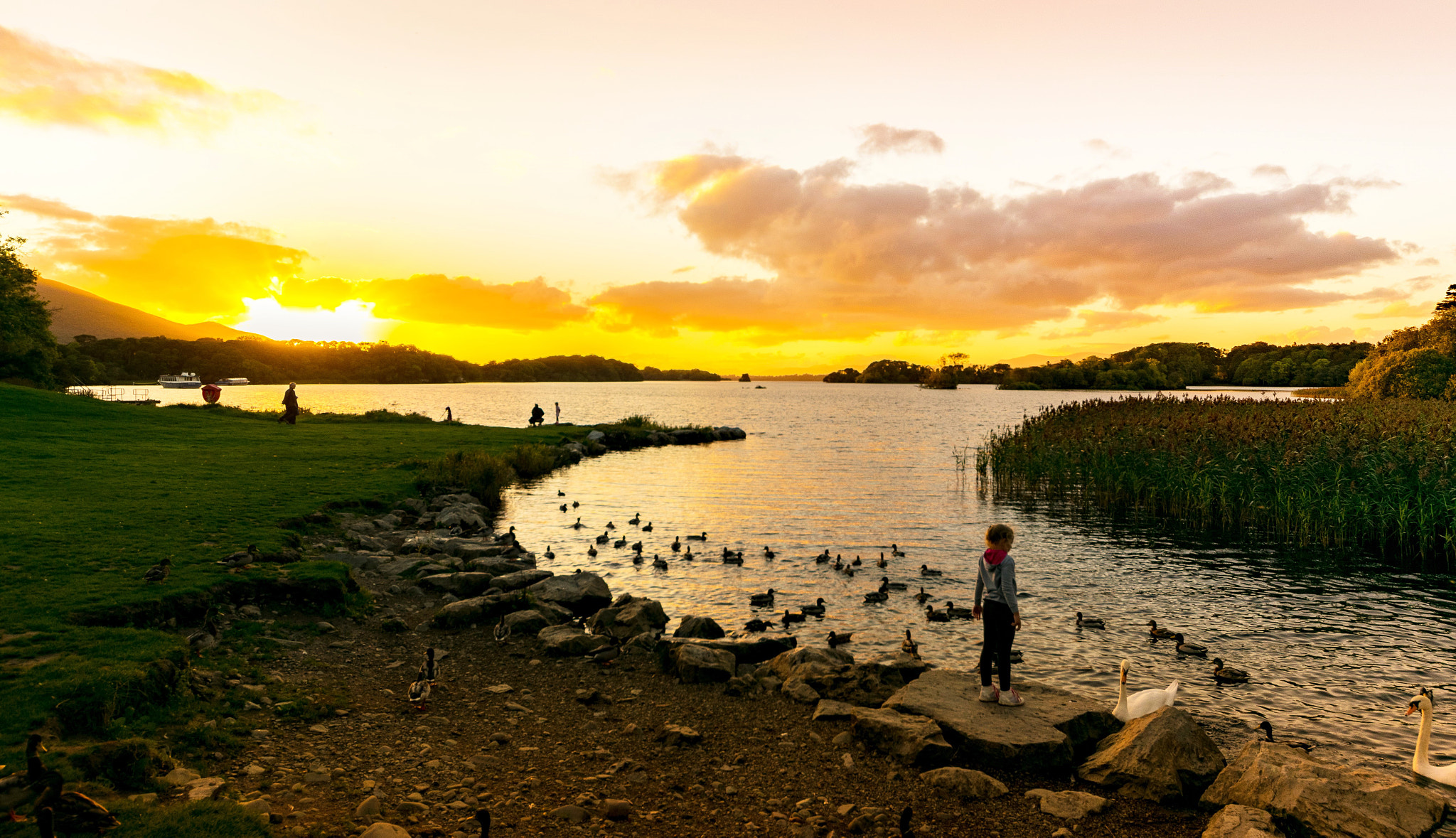 Sigma 8-16mm F4.5-5.6 DC HSM sample photo. Twilight at swan lake photography